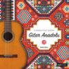 Satılık Plak Tarık Öcal Gitar Anadolu Plak Ön