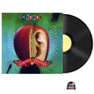 Ezginin Günlüğü Çeyrek Plak